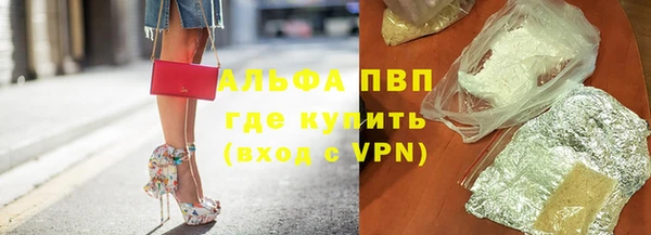 стафф Аркадак