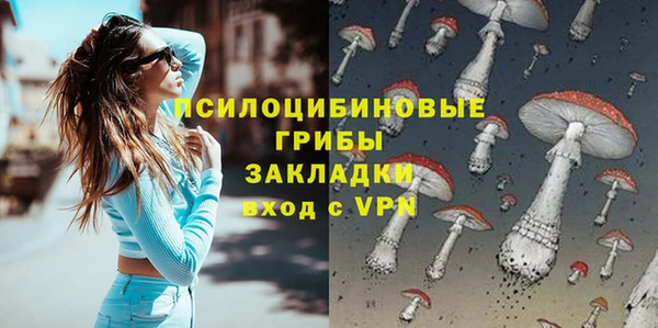 стафф Аркадак